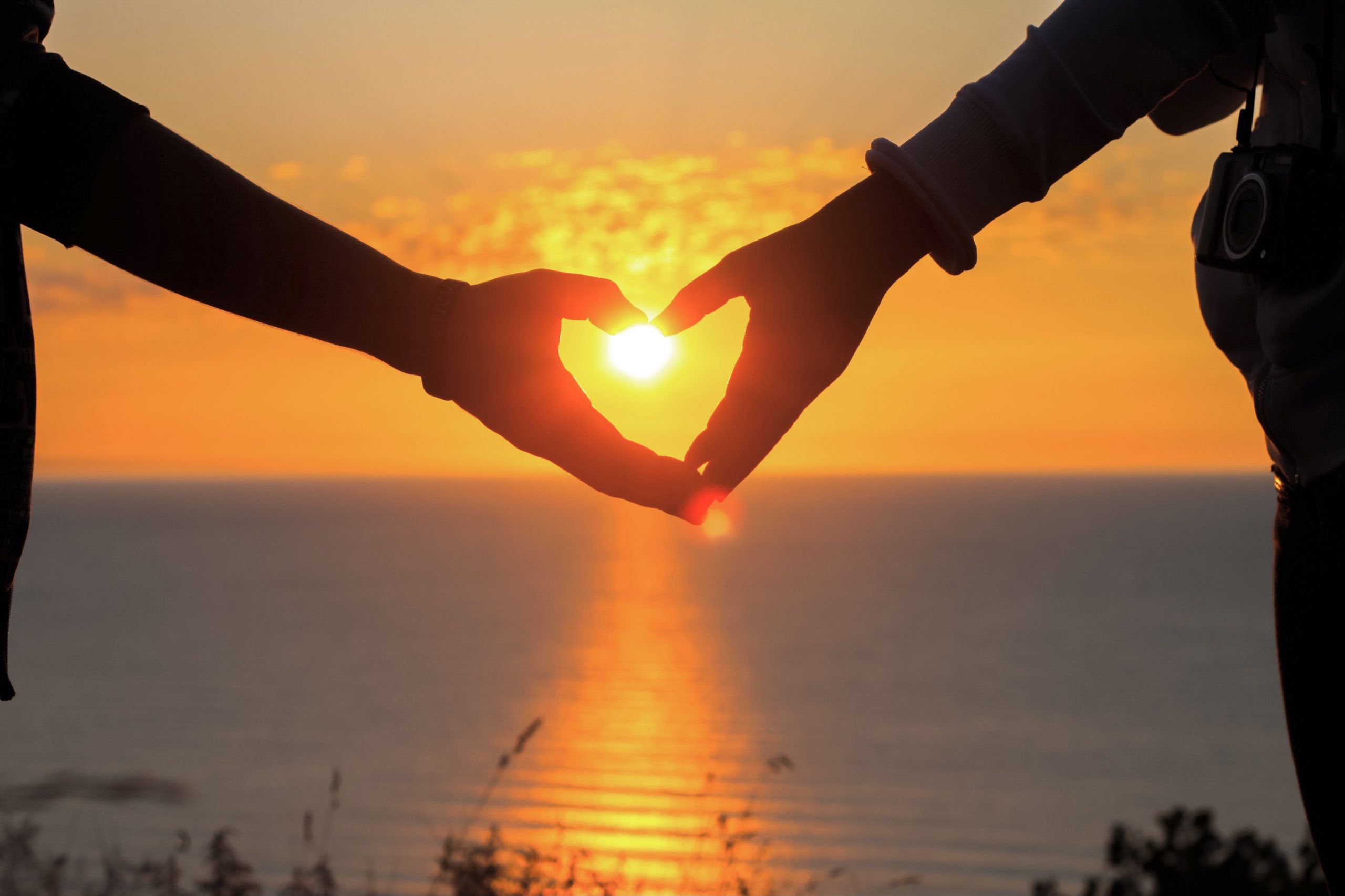 Дурласнаар нь таны тархи хэрхэн өөрчлөгддөг тухай 8 баримт