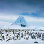 Арванхоёрдугаар сард хаашаа аялах вэ? Арванхоёрдугаар сард хаашаа аялах вэ?