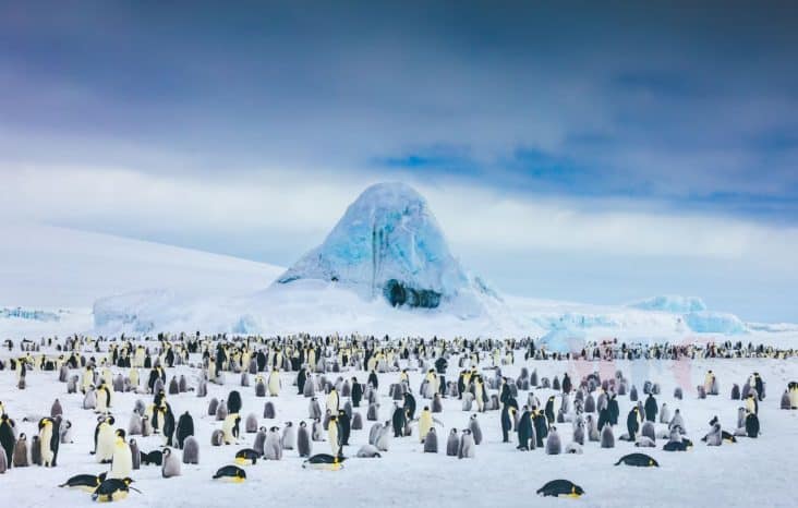 Арванхоёрдугаар сард хаашаа аялах вэ? Арванхоёрдугаар сард хаашаа аялах вэ?