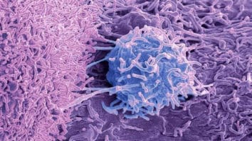 Бид үүнийг “Хорт хавдар” гэж нэрлэх шаардлагагүй байж магадгүй