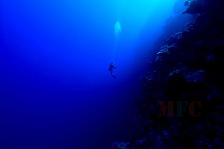 Нууцлаг хөрөнгө оруулагч усан доорх суурин байгуулах төслийг санхүүжүүлж байна