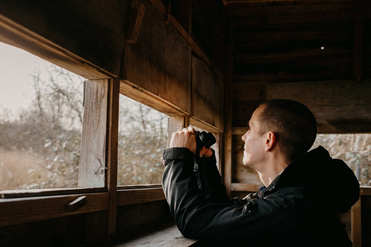 Can AI Ruin Something as Innocent as Birdwatching?