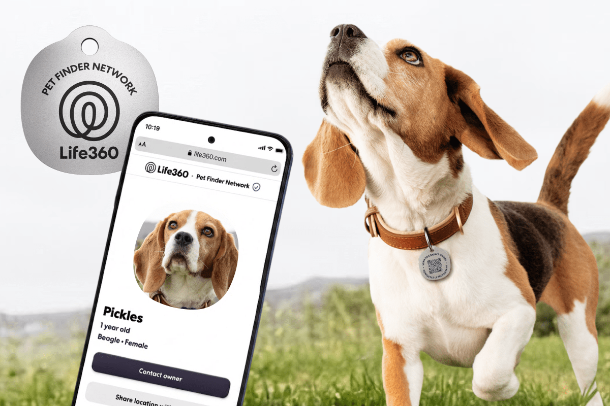 Life360 гэрийн тэжээвэр амьтан хянах шинэ шийдэл болон QR кодтой хаяг танилцууллаа