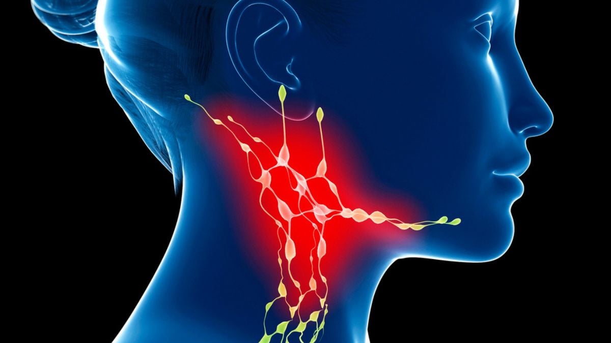 Хүзүүний тунгалгийн булчирхай тархины хөгшрөлтөд нөлөөлдөг байж болзошгүй