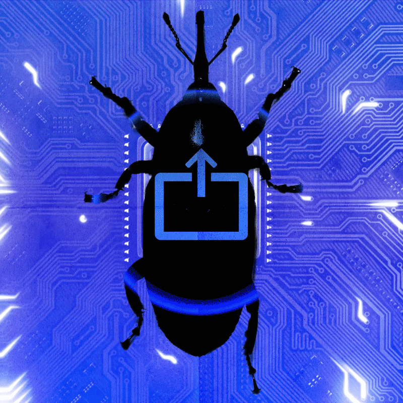 Хиймэл оюун ухаан ашиглан Zoom платформын аюулгүй байдлын цоорхойг илрүүлжээ
