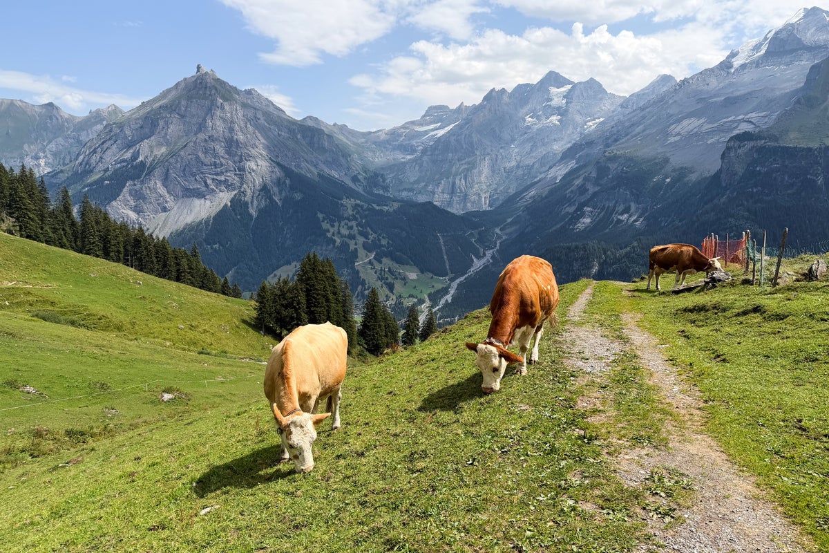 Швейцарын Альп ууланд уур амьсгалын өөрчлөлтөөс үүдэлтэй хөрсний гулгалтын аюул нүүрлэв