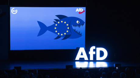 Германы AfD намын гадаад бодлого: БНХАУ-тай харилцах харилцааг шинээр тодорхойлох нь