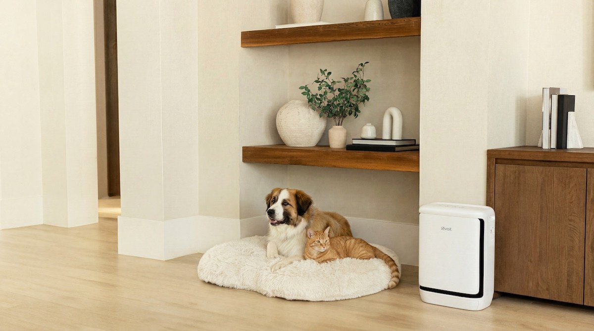 Гэрийн тэжээвэр амьтны үнэр болон үсэнд зориулсан Levoit Vital Pet Pro агаар цэвэршүүлэгч худалдаанд гарлаа