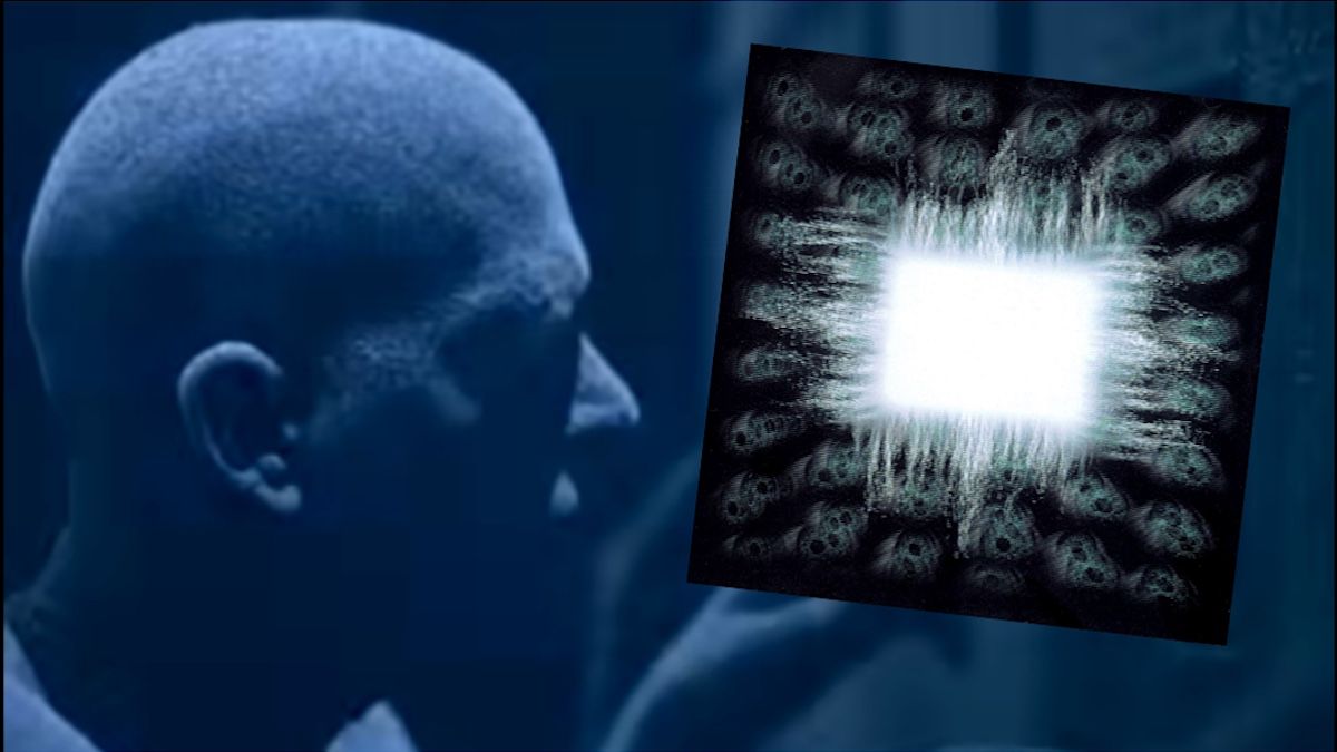Tool хамтлагийн Ænima цомгийн 30 жилийн ойд зориулсан эргэн харалт