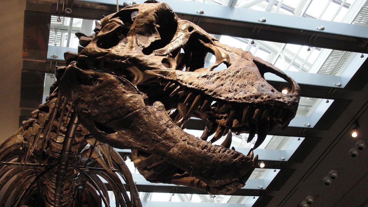 Tyrannosaurus rex нь халуун цуст амьтан байжээ