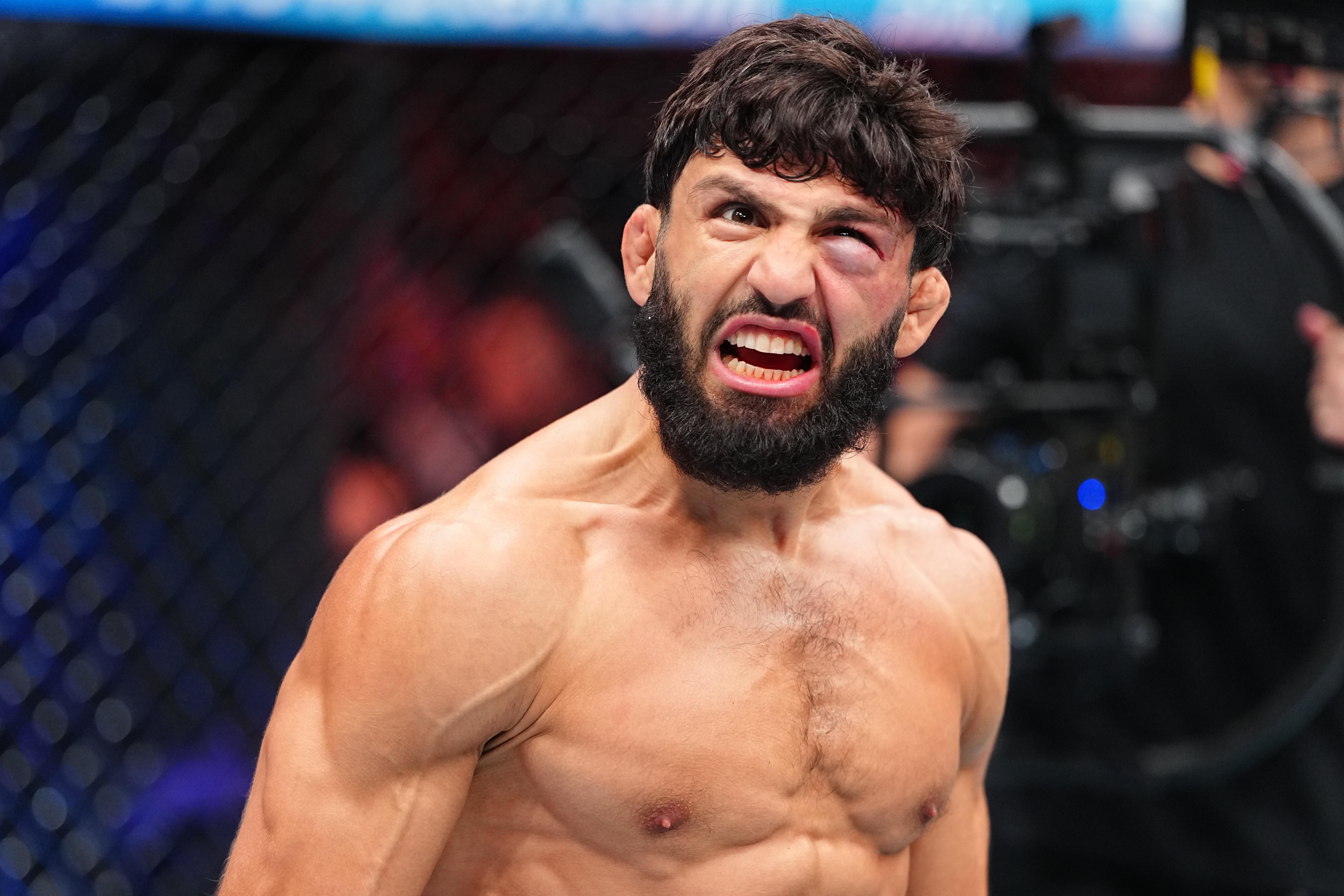 UFC 331 тэмцээний онцлох үйл явдал болон тулаанчдын амжилтын тойм