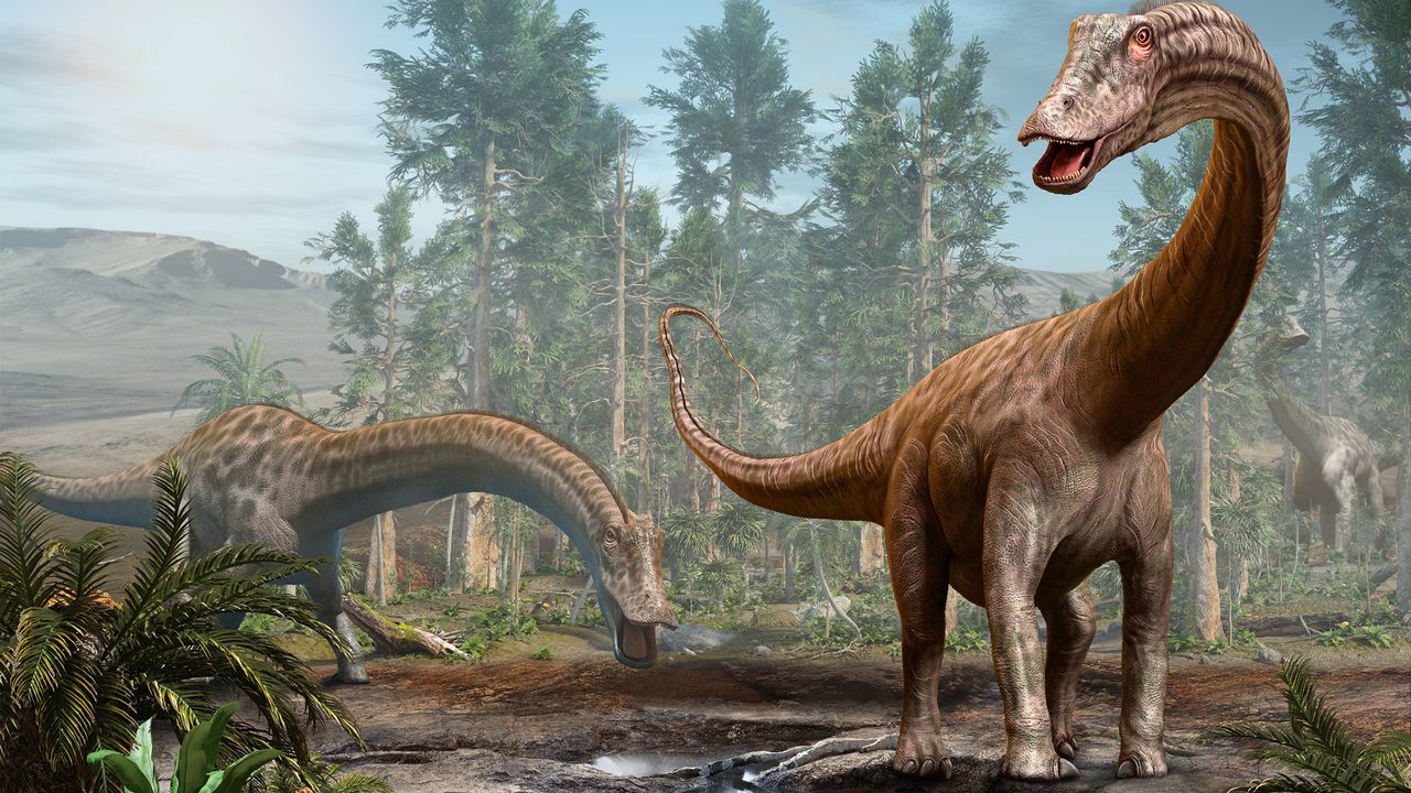 Испаниас Diplodocus үлэг гүрвэлийн чулуужсан үлдэгдэл олджээ